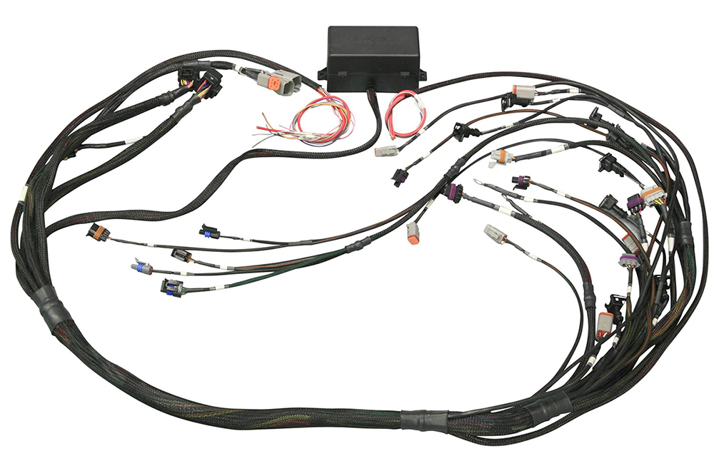 Haltech GM GEN III LS1 & LS6 Terminated Ignition Harness Only