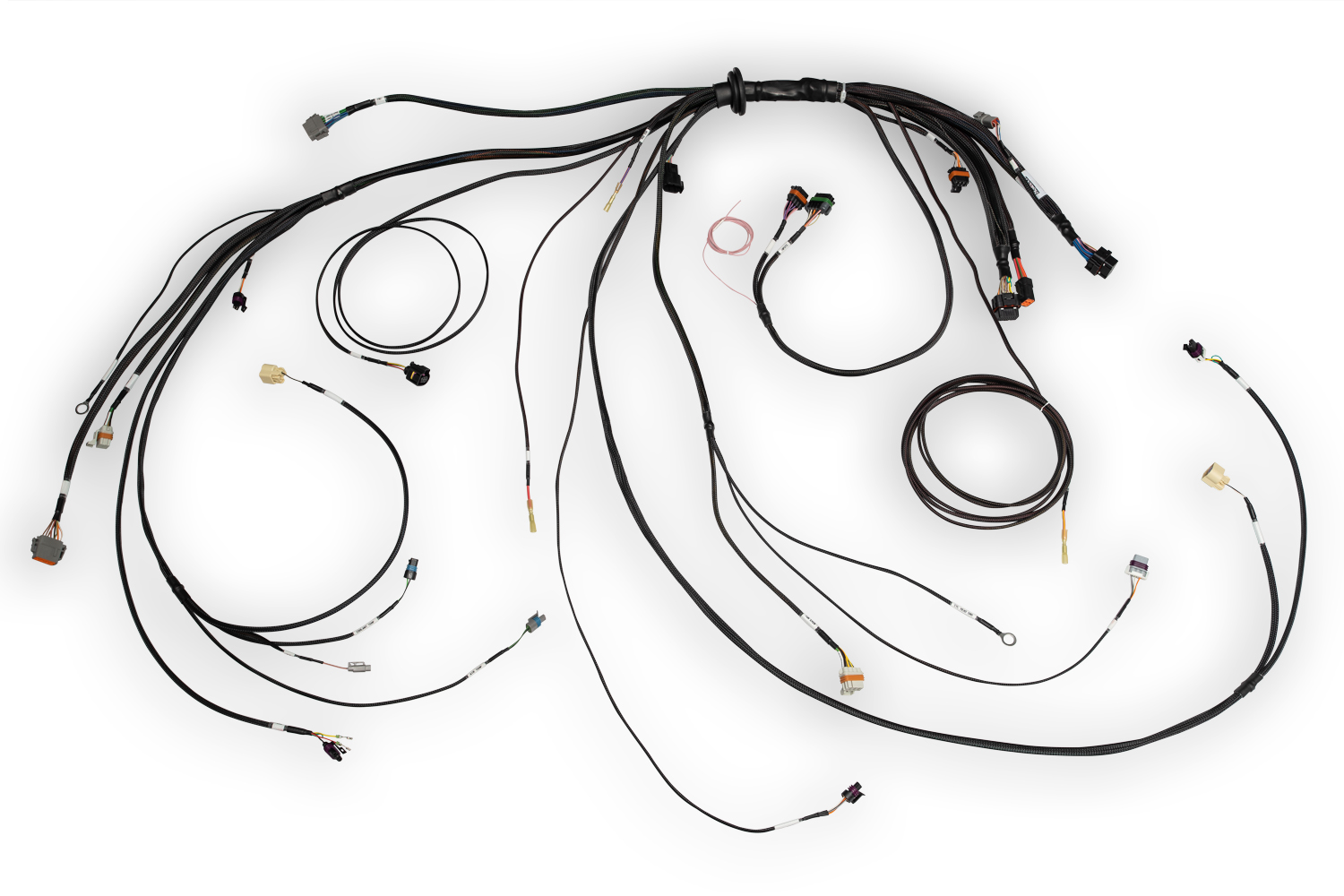 Haltech HT-186500 Nexus Rebel LS Main Terminated Harness